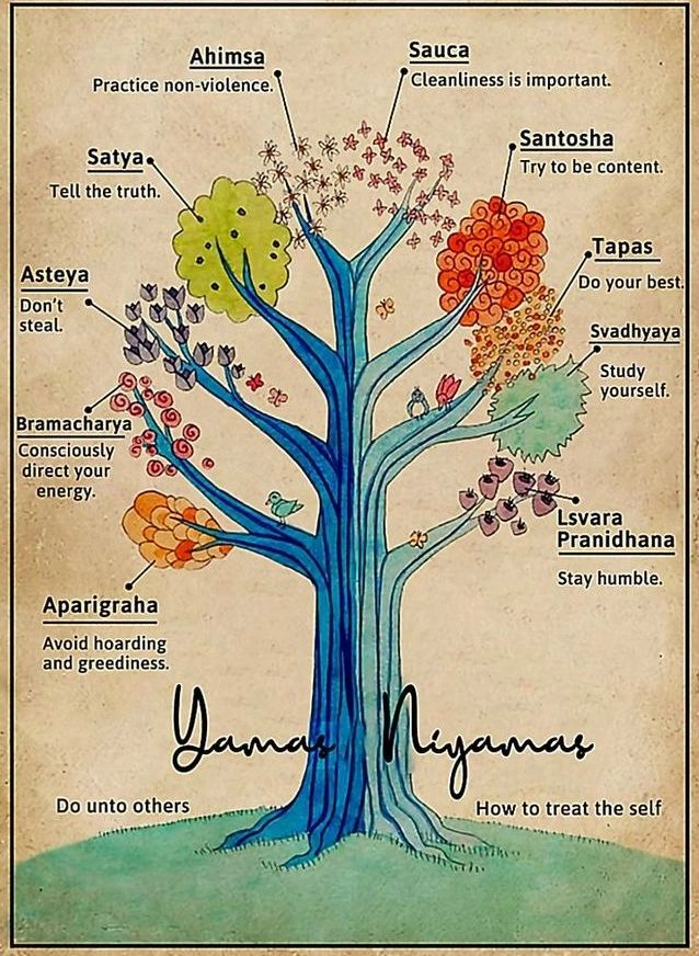 the-eight-limbs-of-yoga-for-kid-s-health